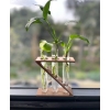Kit Mini Huerto Científico Decorativo de 3 tubos+ eBook “Cultiva en Agua desde tu Cocina”