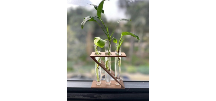 Kit Mini Huerto Científico Decorativo de 3 tubos+ eBook “Cultiva en Agua desde tu Cocina”