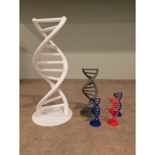 Modelo de ADN en 3D - Decoración Científica y Educativa