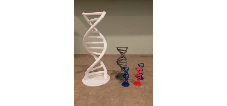 Modelo de ADN en 3D - Decoración Científica y Educativa