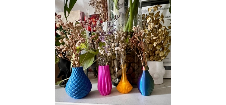 Kit Minimalista de Jarrones Digitales con Plantas Secas