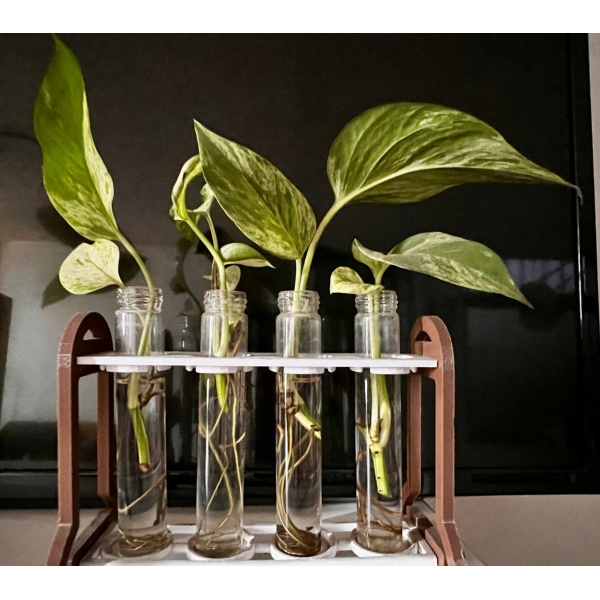 Kit Mini Huerto Científico Decorativo de 4 tubos+ eBook “Cultiva en Agua desde tu Cocina”